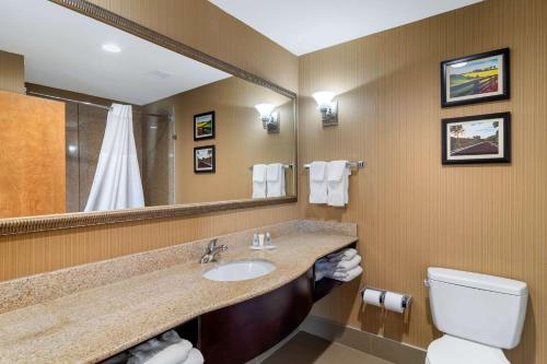 Comfort Suites Byron Warner Robins的一间浴室