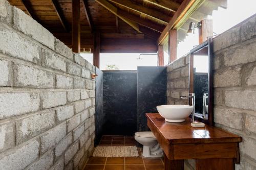 El Castillo de La ConcepciónGuacimo Lodge的一间带水槽和卫生间的浴室