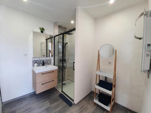 OigniesAppartement chaleureux的带淋浴、盥洗盆和镜子的浴室