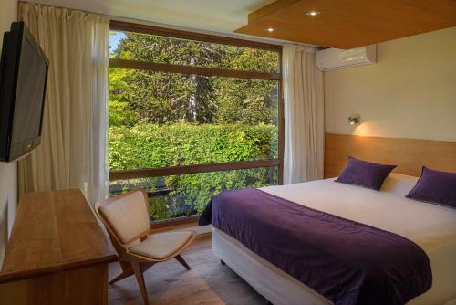 圣马丁德洛斯阿蒙尼特Spa公寓酒店的一间卧室设有一张床和一个大窗户