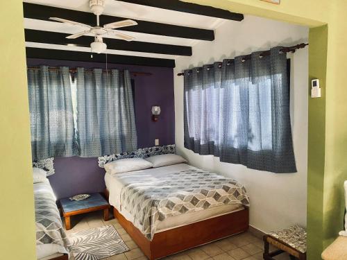 棕榈滩三角梅阿鲁巴别墅，探戈套房的一间卧室配有一张床和吊扇