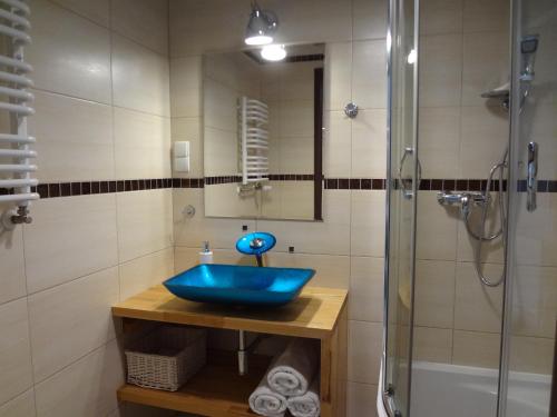 卡尔帕奇Holiday Hill Apartamenty Pogodny的浴室配有蓝色水槽和淋浴。
