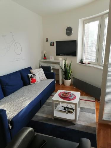 斯梅代雷沃ANKA apartman的客厅配有蓝色的沙发和电视
