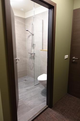 博尔加内斯Basalt Hotel的浴室设有玻璃淋浴间和卫生间