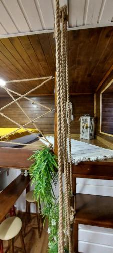 萨图马雷Garden的客房设有2张带绳索的双层床。