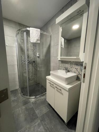 大格拉迪什泰Panorama apartments的带淋浴、盥洗盆和镜子的浴室