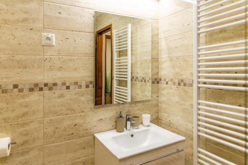 塞克希费黑瓦尔Öreghegyi Bika Panzio的一间带水槽和镜子的浴室