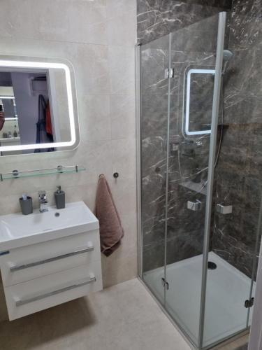 劳耶克特普利采VIP apartmán的一间带玻璃淋浴和水槽的浴室