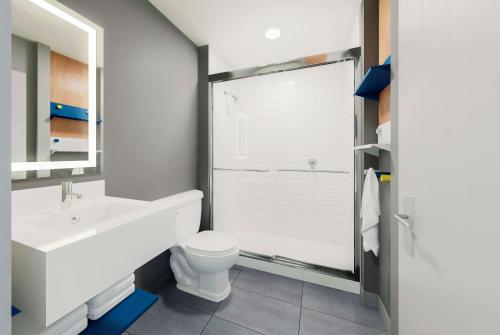 温彻斯特Microtel Inn & Suites by Wyndham Winchester的一间带水槽、卫生间和淋浴的浴室