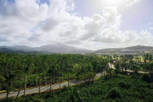 里奥格兰德Wyndham Grand Rio Mar Rainforest Beach and Golf Resort的香蕉种植园中道路的景色