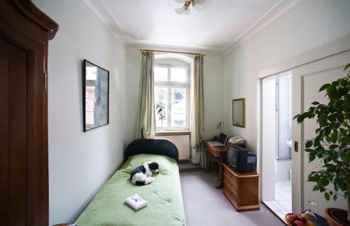 海德堡高登赫克特酒店的狗躺在房间里沙发上