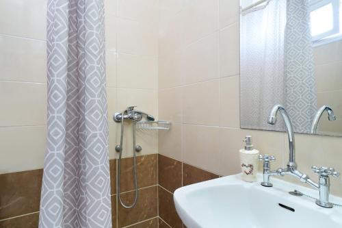 普里诺斯Eleani Hotel的一间带水槽和淋浴的浴室