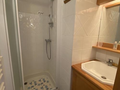 欧特吕斯Appartement Hauteluce, 2 pièces, 4 personnes - FR-1-293-355的带淋浴和盥洗盆的浴室