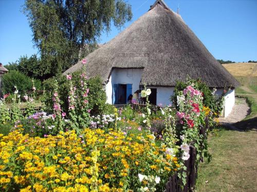 米德尔哈根Ferienwohnung Moewennest mit Terra的花草屋顶的房子