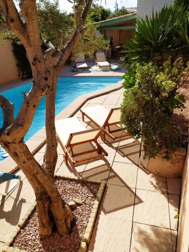 卡尔卡松RIBA D'AUDE的游泳池旁设有躺椅和一棵树
