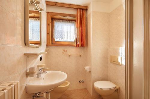 利维尼奥Baita sulle Alpi的一间带水槽、卫生间和镜子的浴室