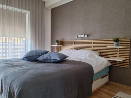 塔尔图R63 Apartment with Terrace的一间卧室配有一张带两个蓝色枕头的床