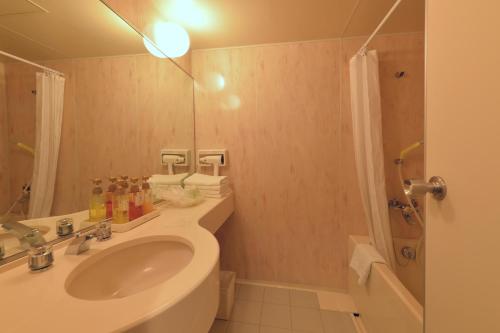 安昙野市Izumigo AMBIENT Azumino Hotel的一间带水槽、卫生间和淋浴的浴室