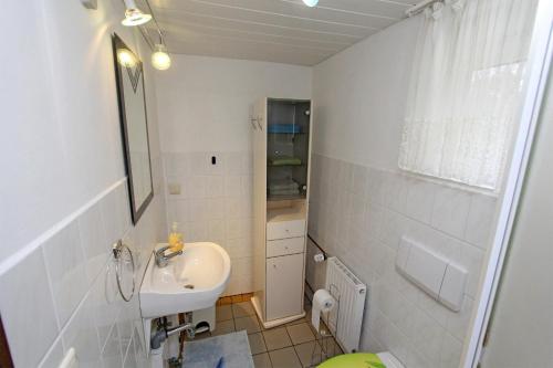 滨湖克拉科Ferienhaus Krakow am See SEE 4001的一间带水槽和镜子的小浴室