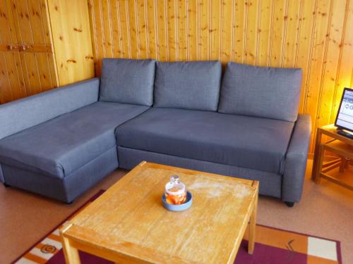 莱斯拉塞斯独角兽克罗克斯四号公寓的客厅配有蓝色的沙发和茶几
