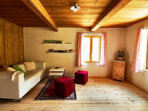 Thorberg爱格拉本公寓的带沙发和木制天花板的客厅
