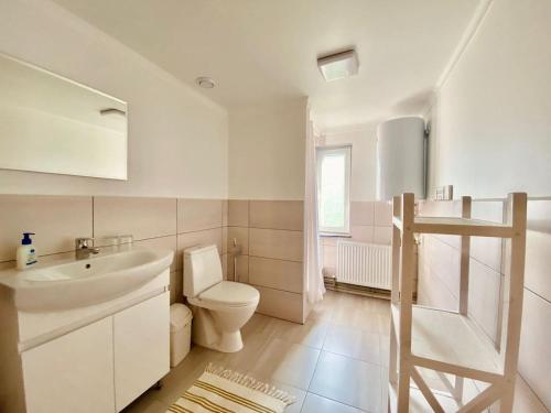 韦尔霍维纳Krokus house的白色的浴室设有卫生间和水槽。