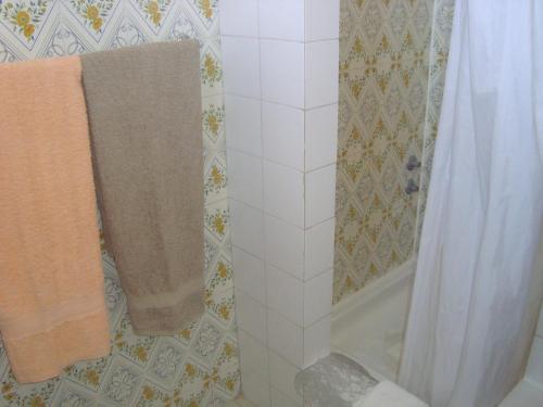 萨格里什米拉福塔雷萨宾馆的带淋浴和浴帘的浴室