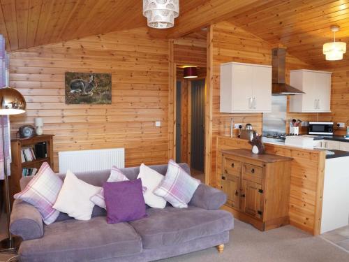 金罗斯Chalet Osprey Lodge by Interhome的带沙发的客厅和厨房