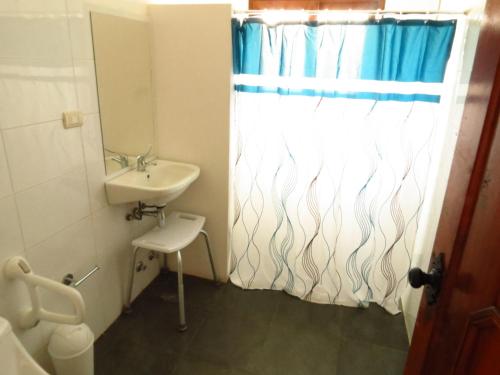 埃尔基斯科Costanera240的一间带水槽和淋浴帘的浴室