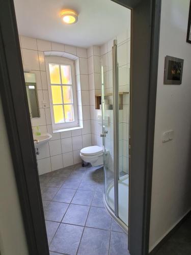 克劳斯塔尔采勒费尔德Ferienwohnung im Wald, für Naturfreunde的浴室配有卫生间、淋浴和盥洗盆。