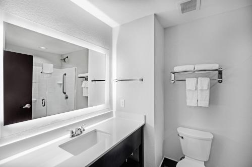 Holiday Inn Express & Suites Austin NW – Lakeway, an IHG Hotel的一间浴室