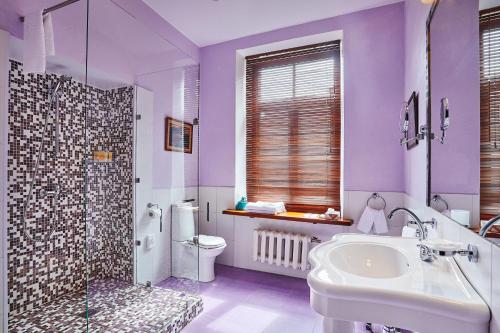 圣彼得堡亚历山大之家酒店的一间带水槽、淋浴和卫生间的浴室