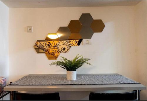 特拉维夫Ofek's place - NOGA的墙上有盆栽和灯的桌子
