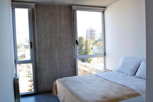 内乌肯Loi Flats Edificio Tucuman的一间卧室设有一张床和两个大窗户