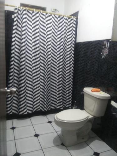 阿瓜迪亚布里萨斯博林肯公寓的浴室设有卫生间和黑白淋浴帘。