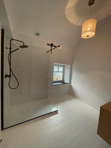 马尔什昂法梅讷L'Officine - Résidence Le Cercle的白色的客房设有淋浴和窗户。