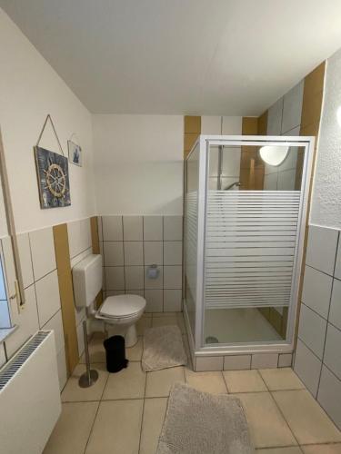 SchwalmtalFerienwohnung Relax的带淋浴和卫生间的小浴室
