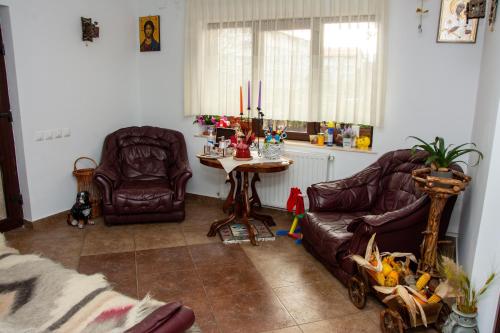 锡纳亚Casa Albert Sinaia的客厅配有两张真皮座椅和一张桌子