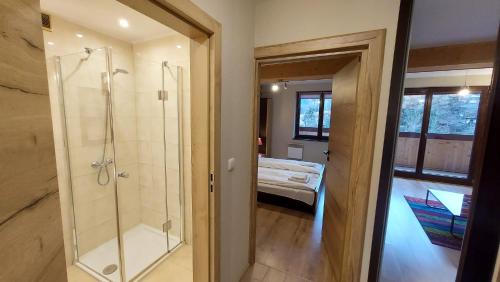 考斯赛力克Apartament Widokowy 40的一间带步入式淋浴间的浴室和一间卧室