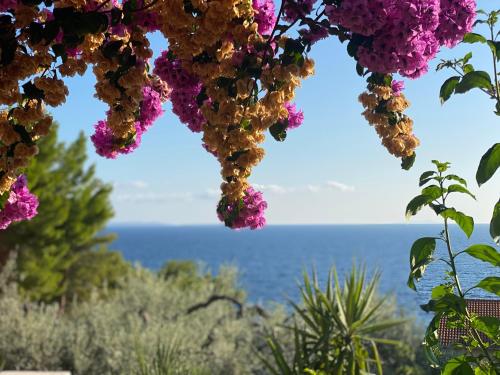 圣内德尔贾Casa Fortuna的从一束鲜花中欣赏到海洋美景
