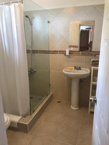 蓬塔卡纳Punta Cana Apartment and scooter for free的带淋浴和盥洗盆的浴室