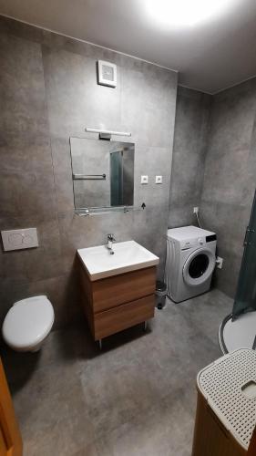 霍茨科波霍尔耶Holiday Apartment Bolfenk的一间带水槽、卫生间和镜子的浴室