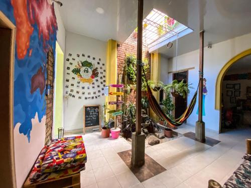 卡利La Casa de Adry的一间种植了盆栽植物的客厅和一面墙