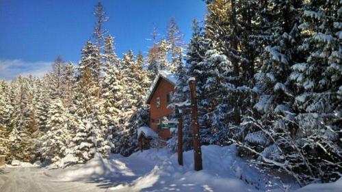 冬天的Big Mountain Cedar Cabin