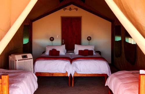 马林塔尔Kalahari Anib Camping2Go的一间帐篷内带两张床的卧室