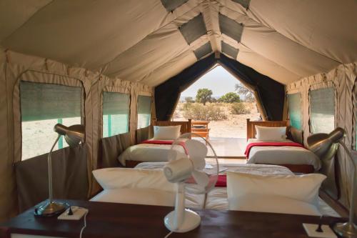 索利泰尔Namib Desert Camping2Go的帐篷内带四张床的房间
