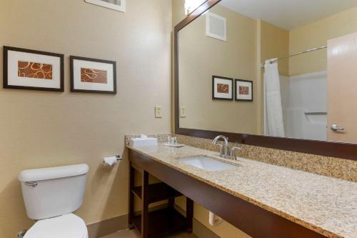 哥伦布哥伦布康福特套房公寓式酒店的一间带卫生间、水槽和镜子的浴室