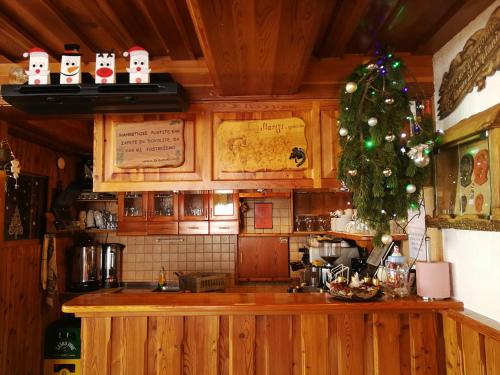戈雷尼斯卡地区采尔克列EkoTurizem Viženčar的厨房的柜台上摆放着圣诞树