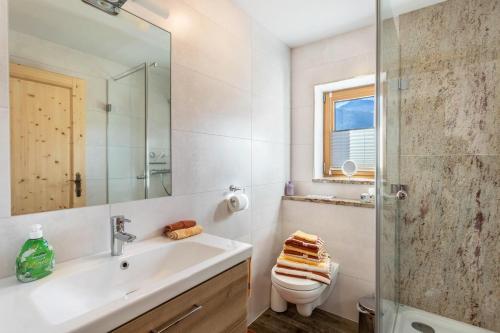 米滕瓦尔德Ferienwohnung Granat的一间带水槽、卫生间和镜子的浴室