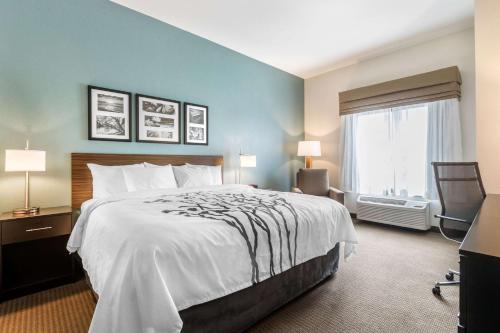 西得梅因Sleep Inn & Suites West Des Moines near Jordan Creek的一间卧室设有一张大床和一个窗户。